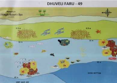 Dhuveli Faru